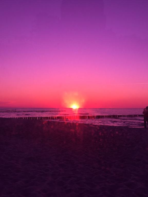 Ferienwohnungen Hofmann Zingst Dış mekan fotoğraf
