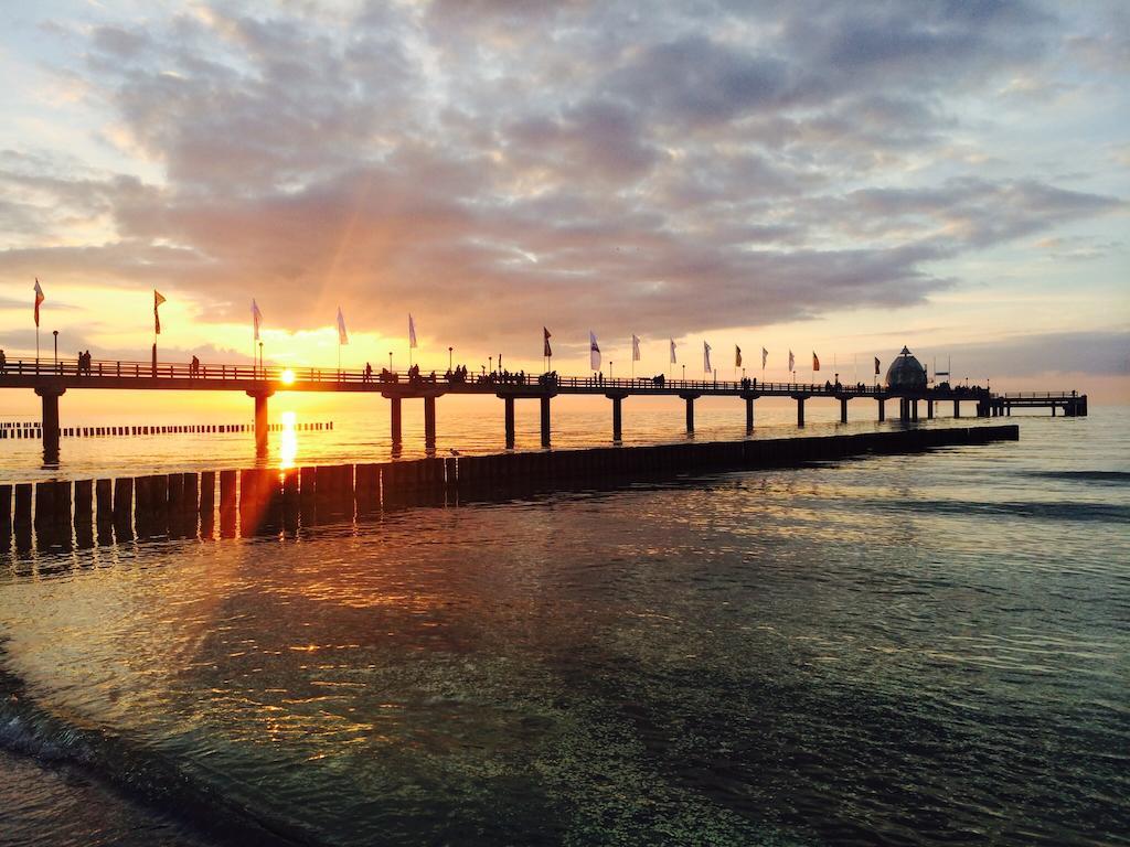 Ferienwohnungen Hofmann Zingst Oda fotoğraf